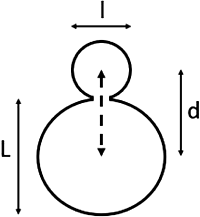 Fig-08-Asymmetrical-Resonant-Metal-Cavity 200x217.png