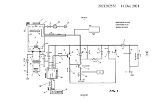 AU2021282556A1 FIG1 1287x907.png