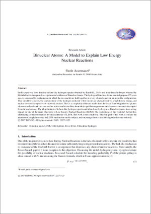 Paolo Accomazzi - Binuclear Atoms fr 362x513.png