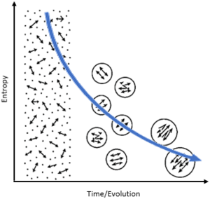Sagacitas-abb07-step5-entropy-reduction 325x308.png